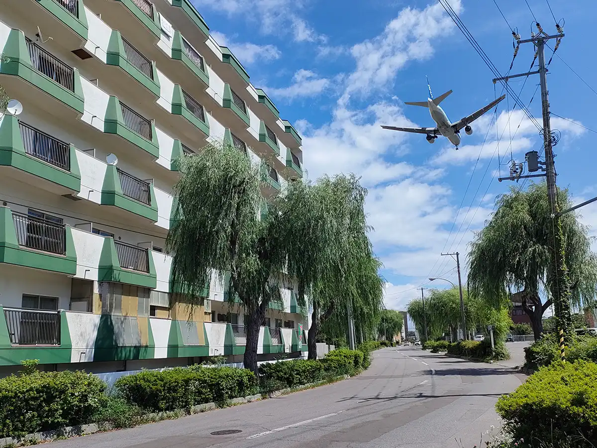 湯の川ゲリラ枝豆　湯の川パレス　飛行機