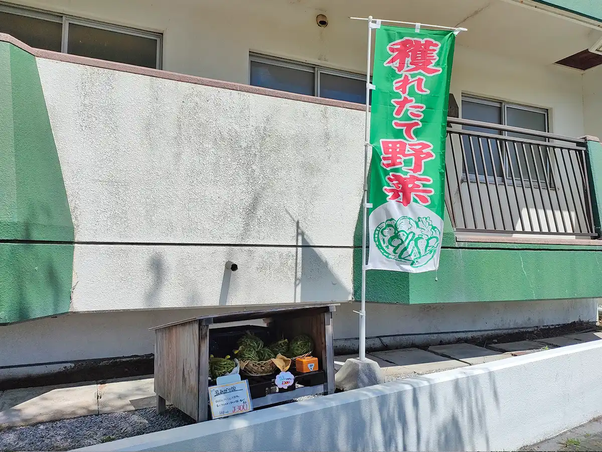 湯の川ゲリラ枝豆　湯の川パレス