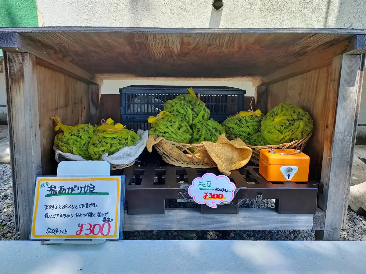 湯の川ゲリラ枝豆　湯の川パレス　湯あがり娘