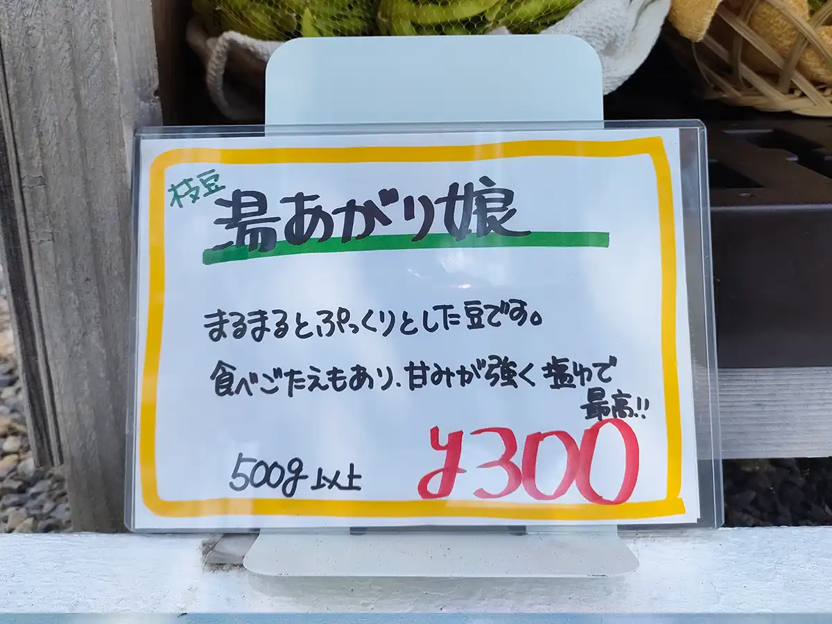 湯の川ゲリラ枝豆　湯の川パレス　湯あがり娘