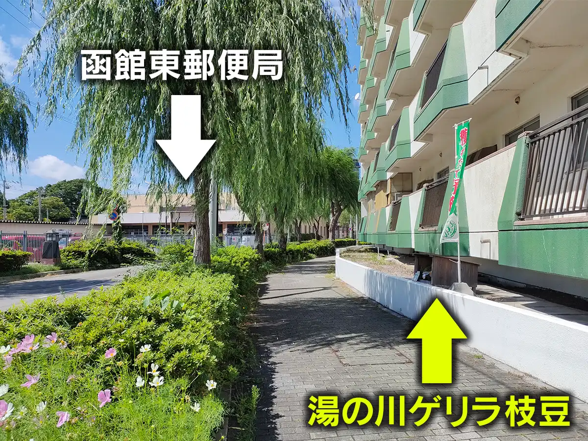 ゲリラ枝豆　函館　湯の川　場所