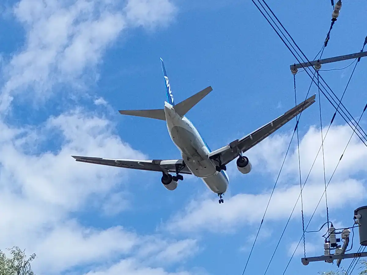 飛行機　函館　湯の川