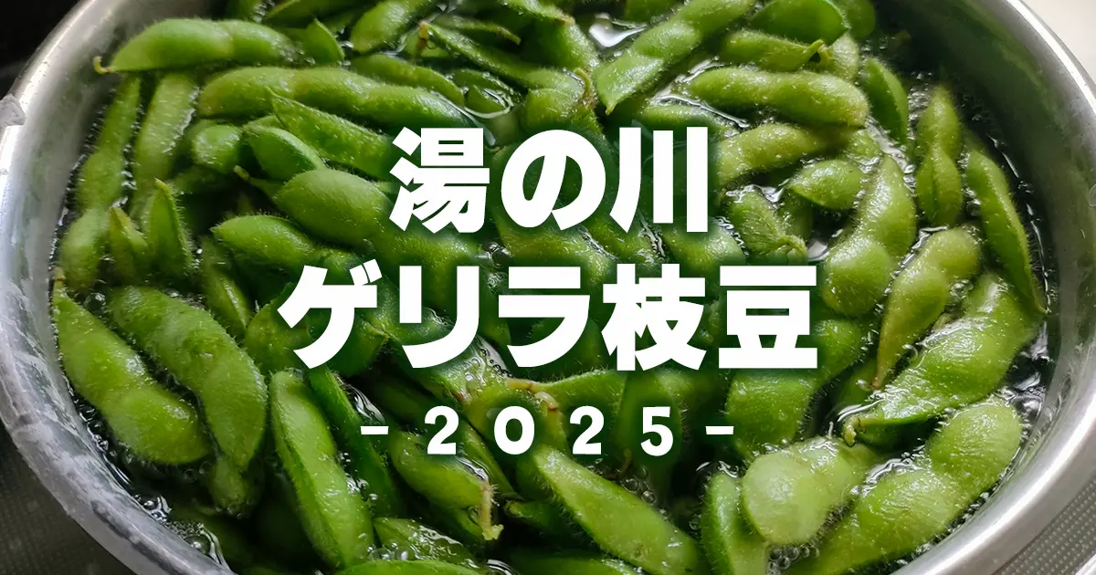 ゲリラ枝豆　函館　湯の川