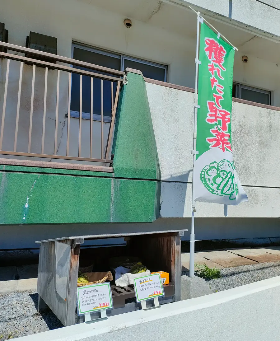 ゲリラ枝豆　函館　湯の川