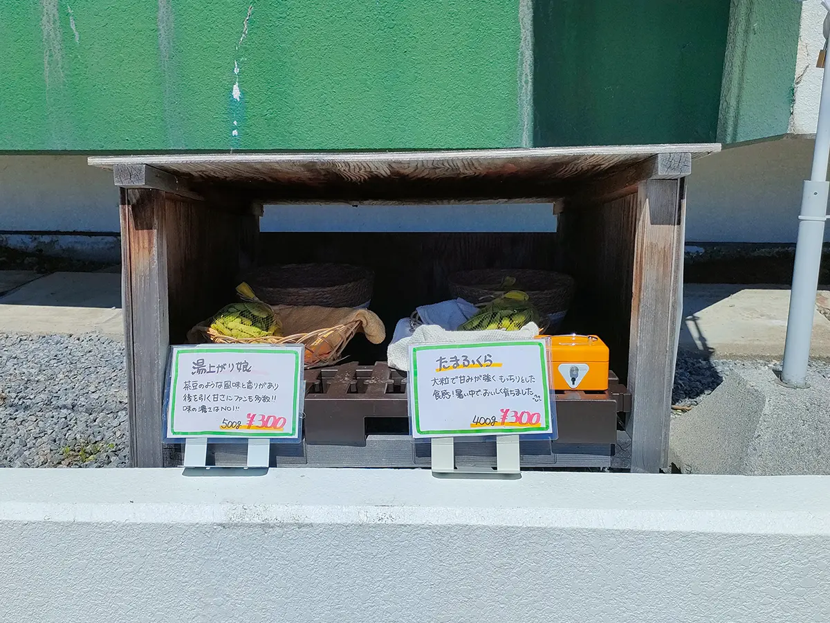 ゲリラ枝豆　函館　湯の川